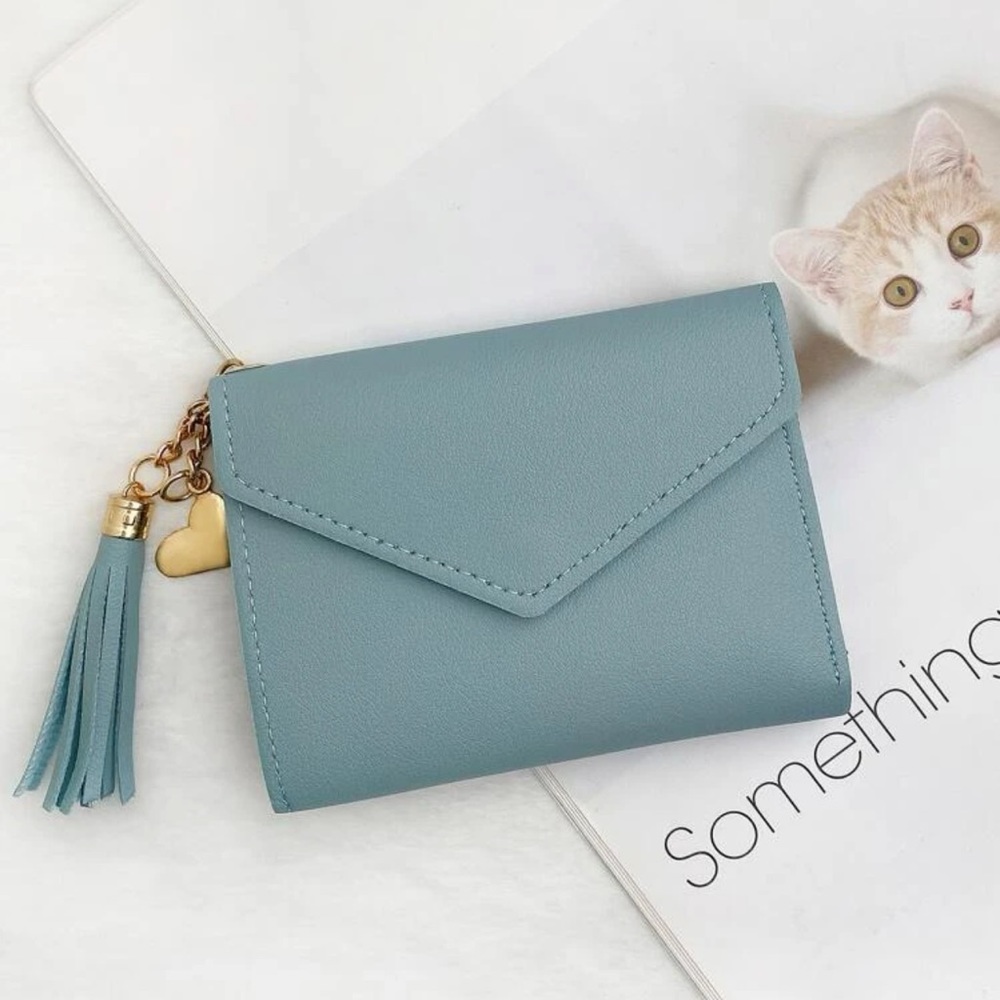 Credit Card Holder